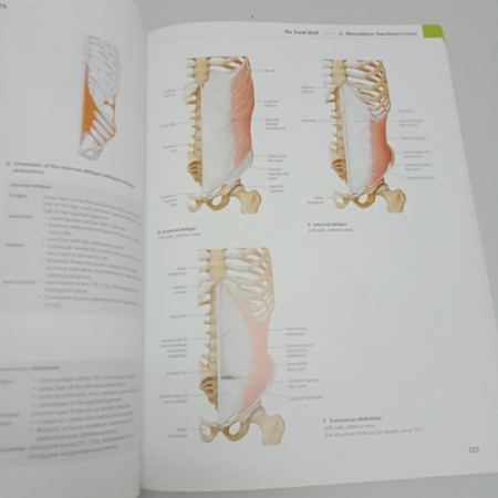 Thieme Atlas of Anatomy: General Anatomy & Musculoskeletal System ...